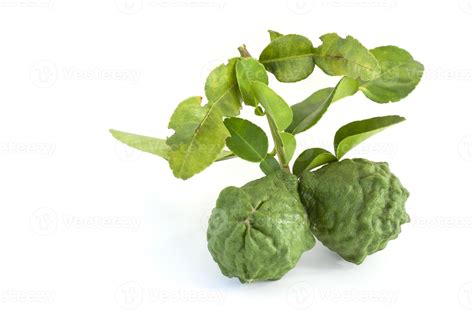 Whole bergamot, Kaffir lime, Leech lime or Mauritius papeda with leaf ...
