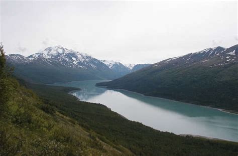 Alaska With Kids: A Handy Guide To Surprise Your Kids