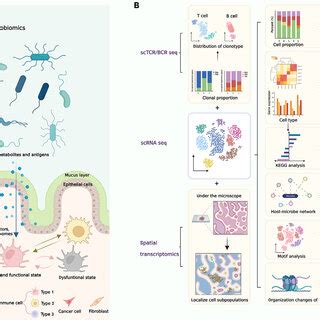 Omics Introduction 的图像结果
