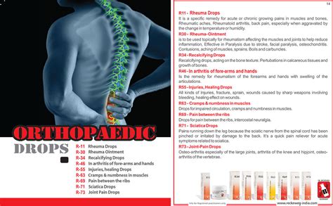 Dr. Reckeweg Homeopathic Orthopedic Drops, Buy Dr. Reckeweg Homeopathic ...