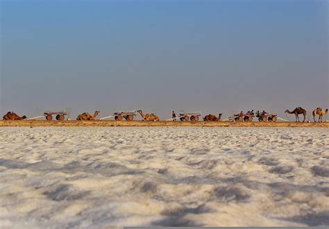 10 Best places you must visit in Kutch - inGujarat.in