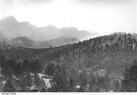 Image result for History Blog Post Example