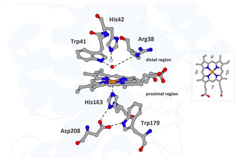 Next-Generation Protein–Ligand Interaction Networks: APEX as a Powerful ...