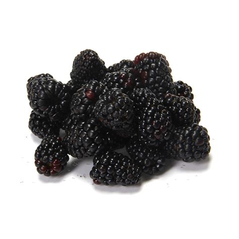 WHOLE FOODS MARKET Blackberries, Half Pint, 1 lb | LifeStyles In 360