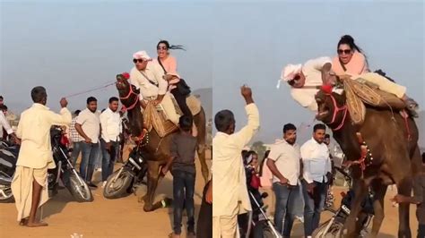 Video: Couple Falls Off 'Distressed' Camel Moments After Climbing On It ...