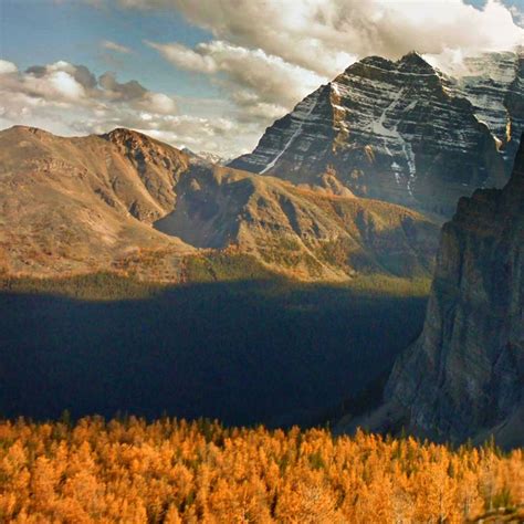 Google Photography Tutorial 的图像结果