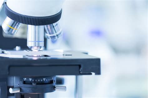 Impacts Of The Microscope On Science