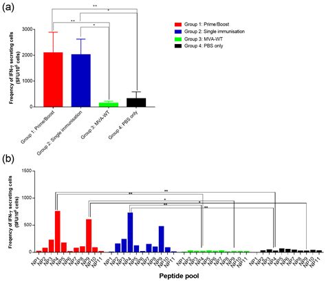 A Multi-Valent Hantavirus Vaccine Based on Recombinant Modified ...