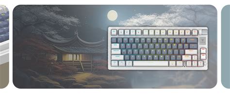 EvoFox Ronin Wireless TKL Mechanical Keyboard (BT+2.4GHz+Wired ...