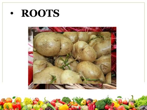 Vegetables Classification 的图像结果