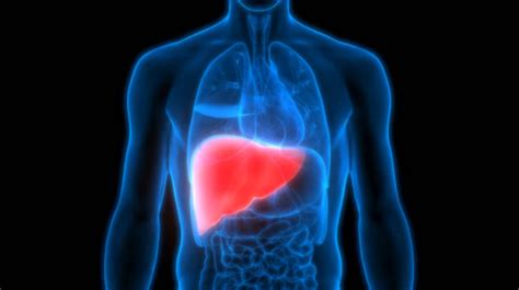 Liver health: common supplements that can turn toxic for the liver with ...