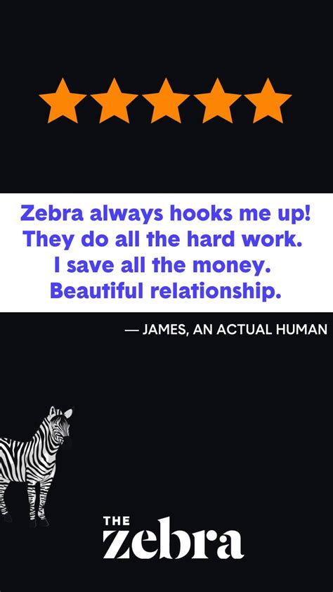 Image result for Zebra Compare Car Insurance