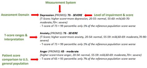 Image result for Promis Comp