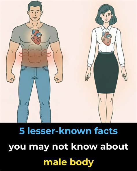 5 Lesser-Known Facts You May Not Know About Male Body