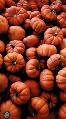 Iphone Vsco Fall Backgrounds by Vsco Foreverspookyseason Fall Background Fall Iphone Vsco Fall Backgrounds