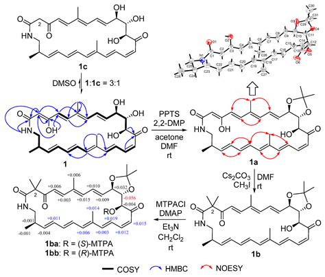 Novel Macrolactams from a Deep-Sea-Derived Streptomyces Species