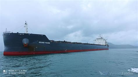 SOUND YOUNG, Bulk Carrier - Details and current position - IMO 9858620 ...