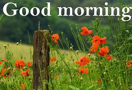 Image result for Free Animated Good Morning Spring