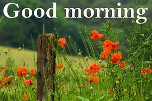 Image result for Good Morning 1st Day of Spring