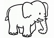 malvorlagen elefant ausmalbilder elefanten 15 ausmalbilder tiere malvorlagen elefant ausmalbilder elefanten 15 ausmalbilder tiere
