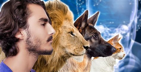 Why Humans are the Only Species to have Chins | The Vintage News