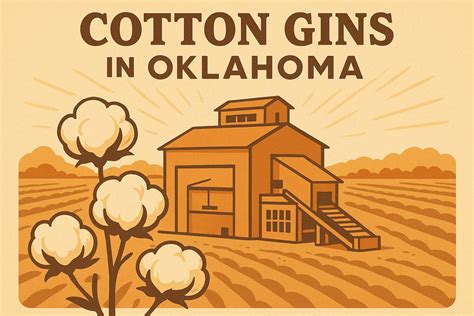Why Cotton Is Better Than Polyester