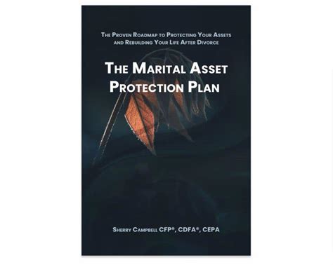 Entry #256 by iamlubaba12 for Book Cover Title: The Marital Asset ...