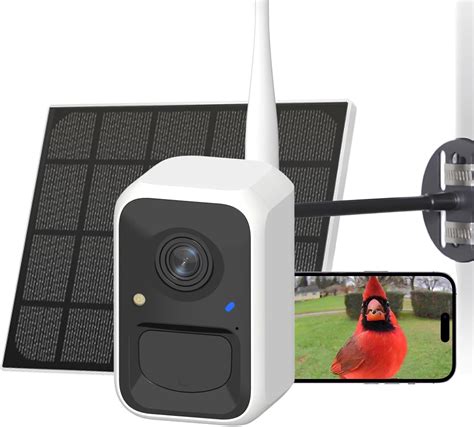 Amazon.com : NETVUE by Birdfy Upgraded Smart Bird Feeder Camera, Solar ...