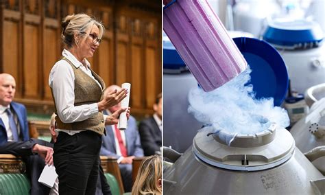 Push for new IVF laws after clinic collapse