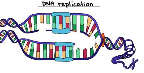 Image result for Replication Script