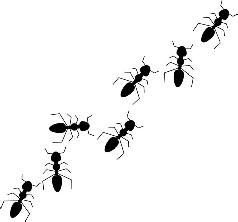 Red Ant Clipart