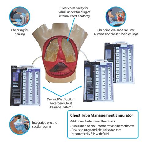 Chest Tube Management Simulator - Studica Canada - Solutions for ...
