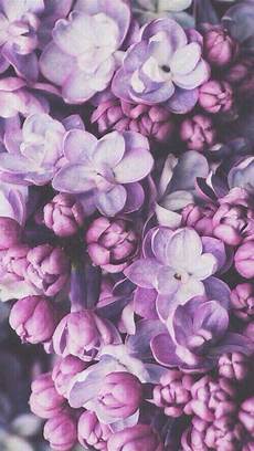 Iphone Pastel Aesthetic Floral Wallpaper by Pin By Allison On Other Random Stuff I Like In 2019 Iphone Pastel Aesthetic Floral Wallpaper