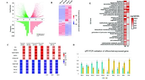 Volcano Plot Explained 的图像结果