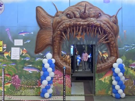 Indian Railways' First Movable Freshwater Tunnel Aquarium Opens At ...