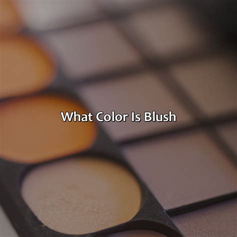 What Color Is Blush - colorscombo.com