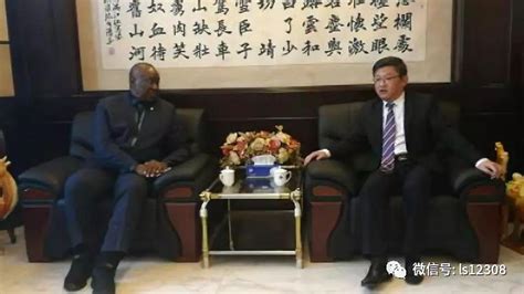 多名中国公民在中非遇袭 中国大使馆紧急行动_国际新闻_环球网