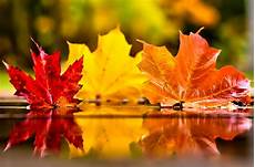 November Fall Laptop Backgrounds by November Wallpapers Hd Free Pixelstalk Net November Fall Laptop Backgrounds