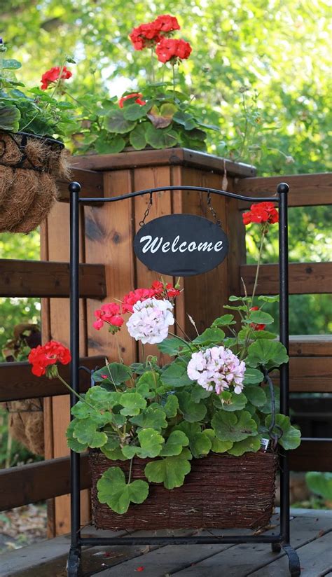 COUNTRY FARE BED & BREAKFAST (Regina, Saskatchewan) - B&B Reviews ...