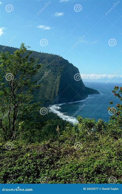 Waimea Big Island stock image. Image of island, ocean - 2653977