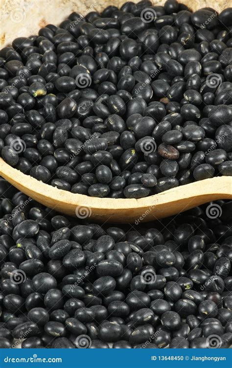 Black turtle beans stock photo. Image of gourmet, bean - 13648450