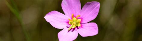 Environmental Resources Department | St. Lucie County, FL