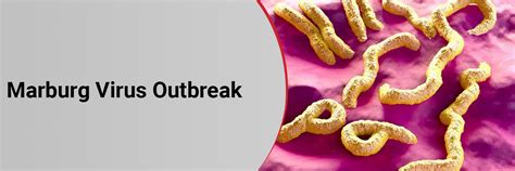 Marburg Virus Outbreak
