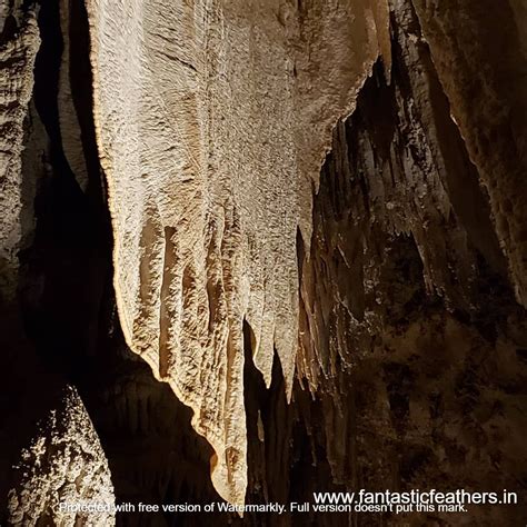 Fantastic Feathers: A Day at Carlsbad Caverns National Park # ...