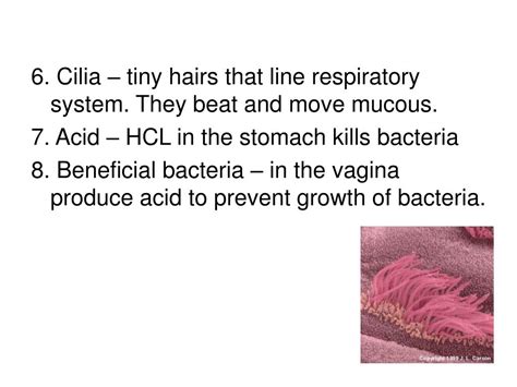 Image result for Human Defence Line Skin