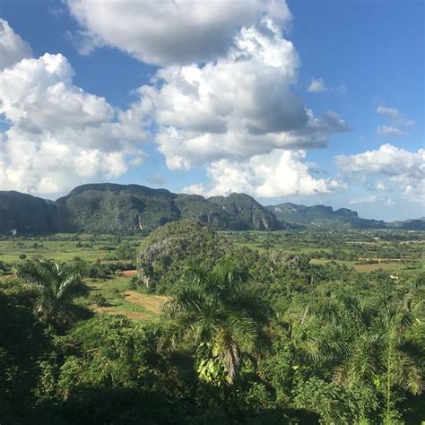 CASA YIYO (Vinales) - Inn Reviews & Photos - Tripadvisor