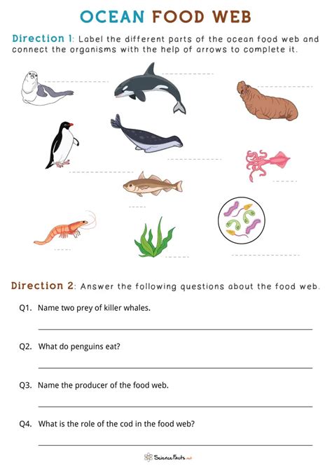 Image result for Food Web Questions