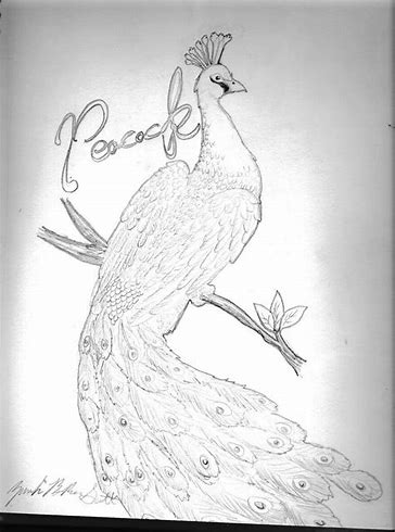 pencil sketch making app