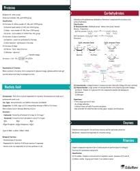Mind Map: Biomolecules - Chemistry Class 11 - NEET PDF Download