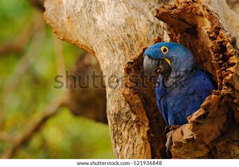 Image result for Logging Software